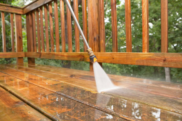 Solar Panel Cleaning in Locust Fork, AL